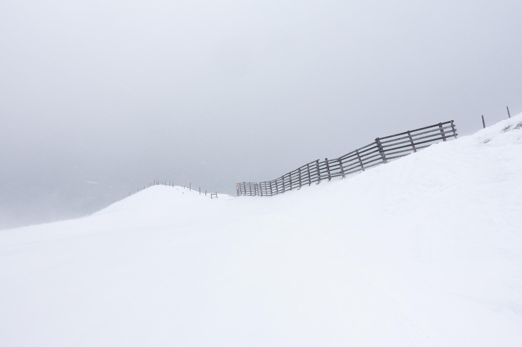 Photograph by Peter Lieberzeit