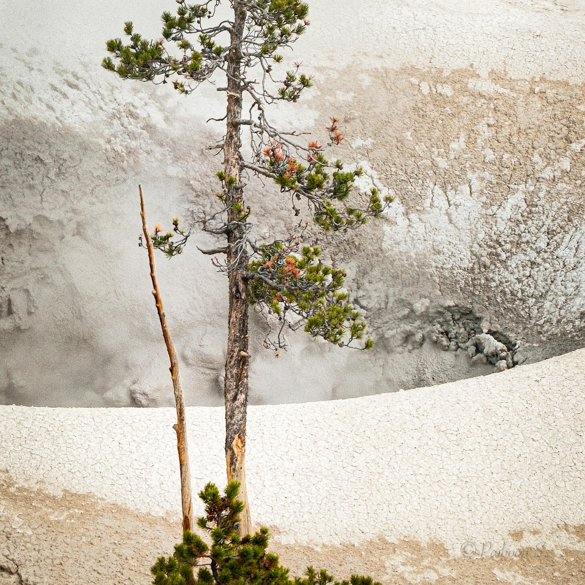 Photograph by Paiboon Srikanchana